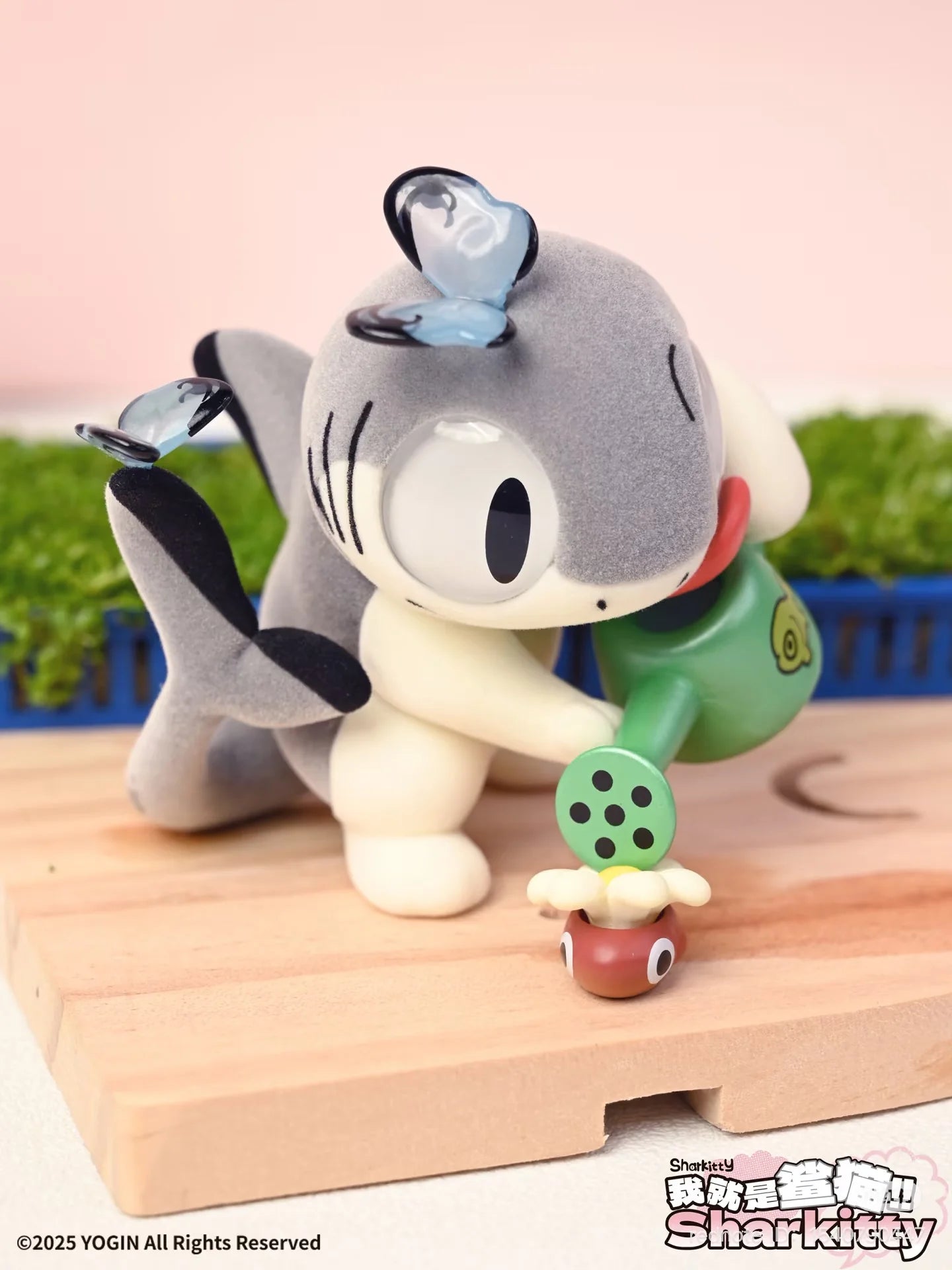 Sharkitty Blind Box (Box of 6)