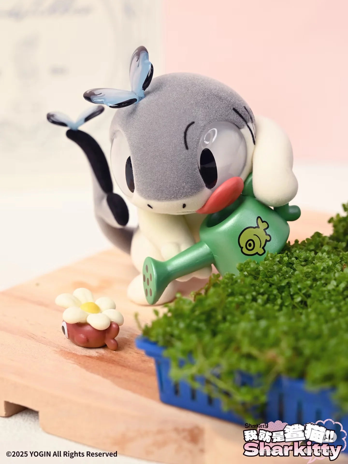 Sharkitty Blind Box (Box of 6)
