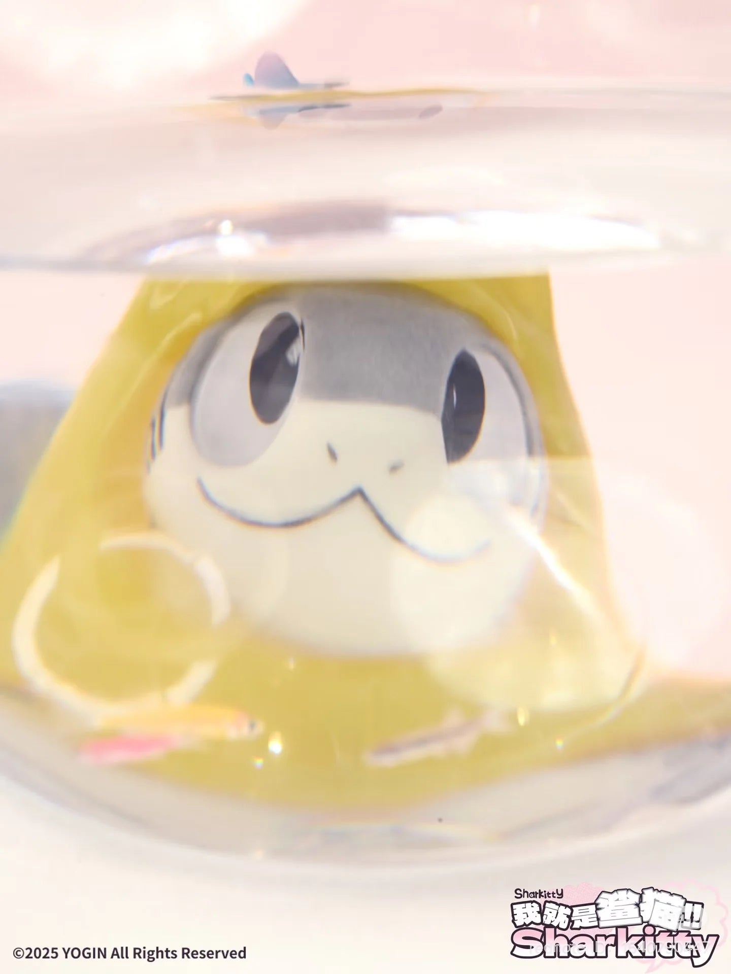 Sharkitty Blind Box (Box of 6)