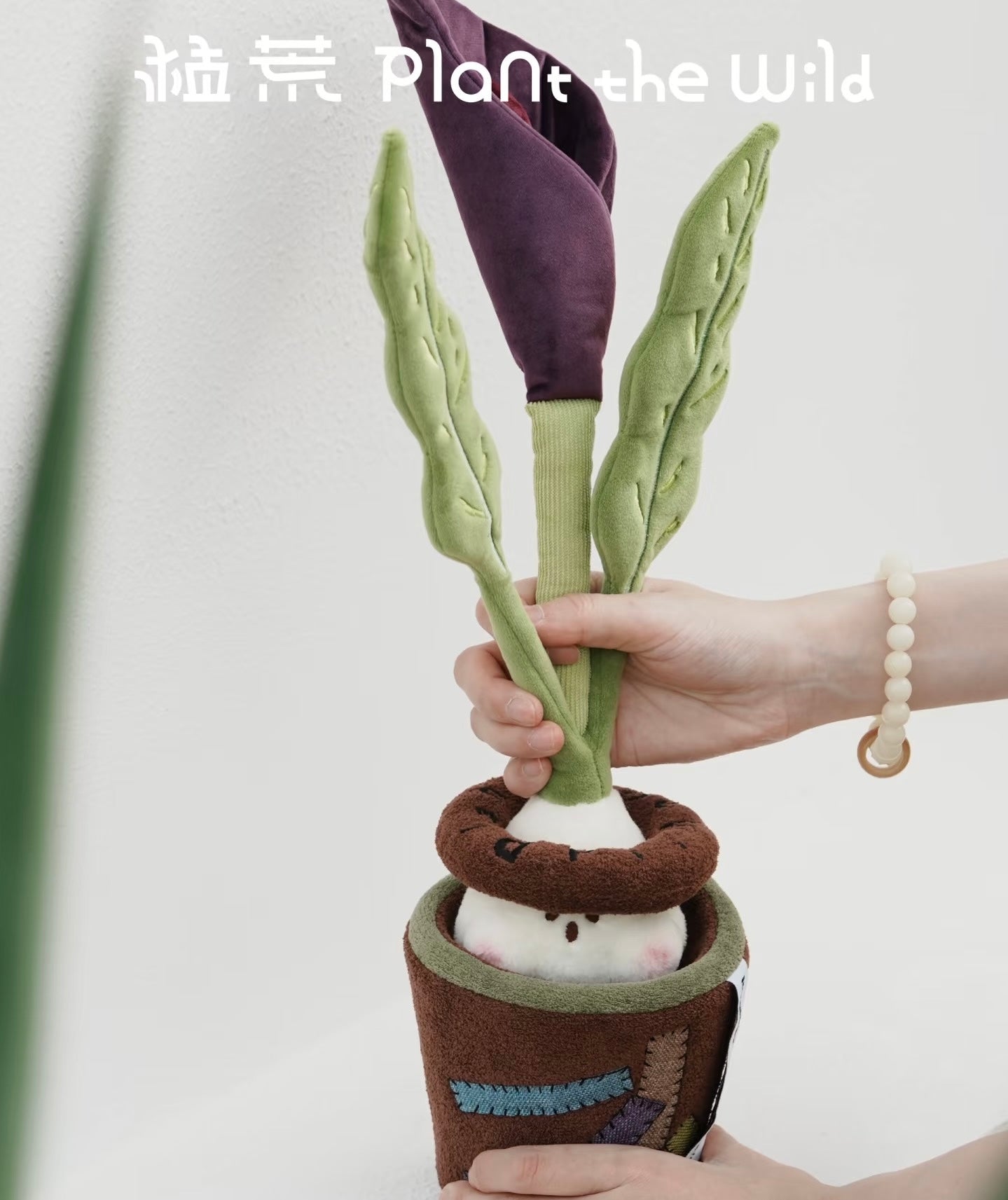 [PRE-ORDER] Plant The Wild Series-Night Miracle Plush Toy